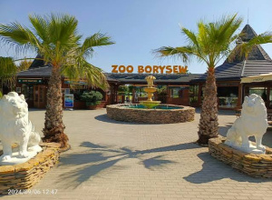 Wycieczka do Zoo w Borysewie