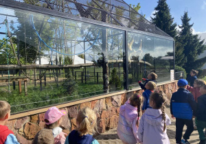 Zwiedzanie Zoo w Borysewie