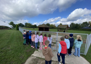 Zwiedzanie Zoo w Borysewie