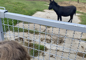 Zwiedzanie Zoo w Borysewie