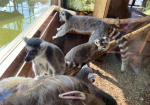 Zwiedzanie Zoo w Borysewie