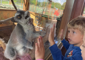 Zwiedzanie Zoo w Borysewie
