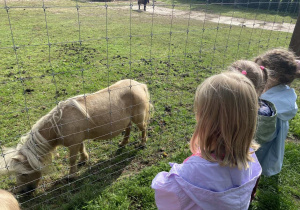 Zwiedzanie Zoo w Borysewie