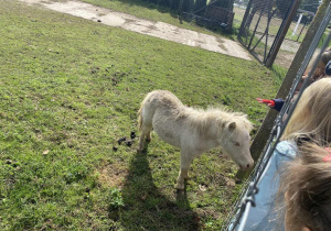 Zwiedzanie Zoo w Borysewie