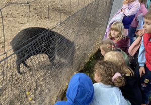 Zwiedzanie Zoo w Borysewie