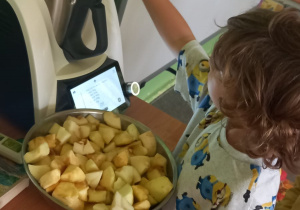 Zdjęcie 12 na 22
