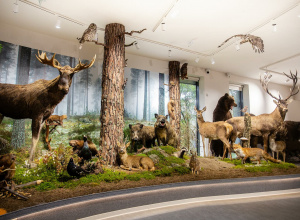 Ogłoszenie o wycieczce do Muzeum Przyrodniczego UŁ