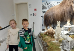 Zdjęcie 5 na 30