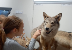 Zdjęcie 7 na 30