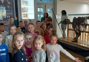 Zdjęcie 10 na 30