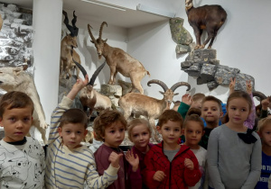 Zdjęcie 25 na 30