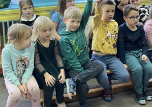Zdjęcie 9 na 12