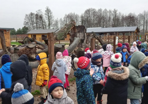 Zdjęcie 19 na 33