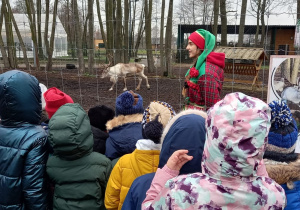 Zdjęcie 22 na 33