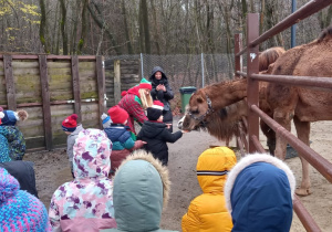 Zdjęcie 23 na 33