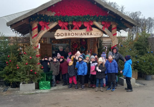 Zdjęcie 33 na 33
