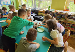 Zdjęcie 11 na 35