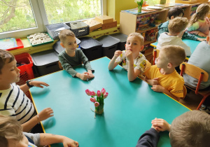 Zdjęcie 14 na 35