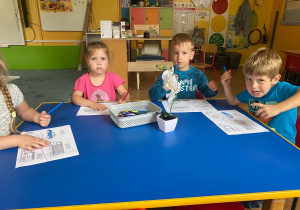 Zdjęcie 13 na 20