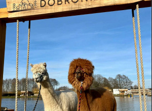 Dobronianka