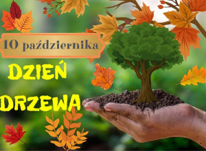 Dzień Drzewa