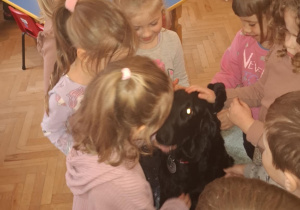 Zdjęcie 7 na 16