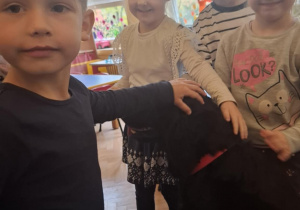 Zdjęcie 9 na 16