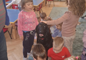 Zdjęcie 14 na 16