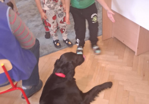 Zdjęcie 4 na 16