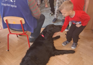 Zdjęcie 6 na 16