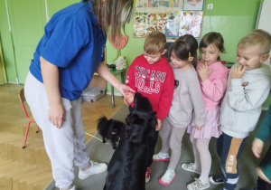 Zdjęcie 4 na 31