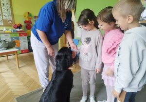 Zdjęcie 5 na 31