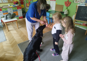 Zdjęcie 7 na 31