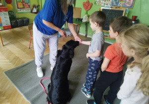 Zdjęcie 11 na 31