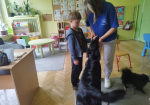 Zdjęcie 13 na 31