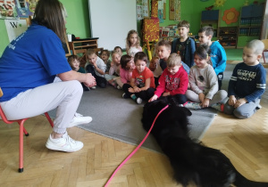 Zdjęcie 15 na 31