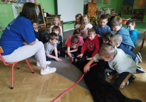 Zdjęcie 16 na 31