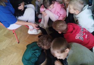 Zdjęcie 23 na 31
