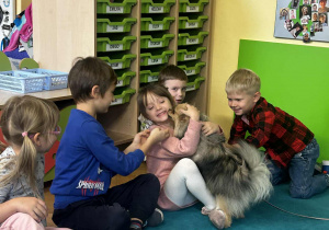 Zdjęcie 14 na 37