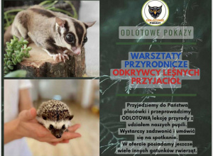 Warsztaty ze zwierzątkami