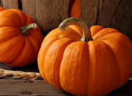 Dzień Dyni -Skąd się biorą produkty Ekologiczne