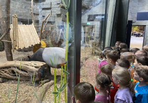 Zwiedzanie Orientarium