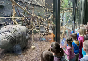 Zwiedzanie Orientarium