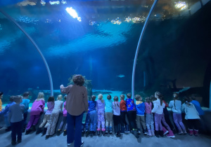 Zwiedzanie Orientarium