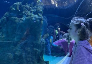 Zwiedzanie Orientarium