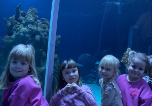 Zwiedzanie Orientarium