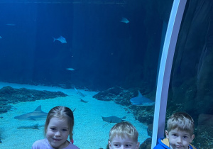 Zwiedzanie Orientarium