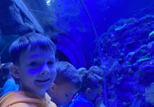 Zwiedzanie Orientarium