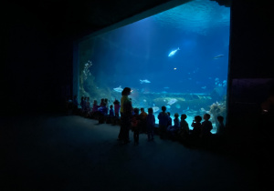 Zwiedzanie Orientarium