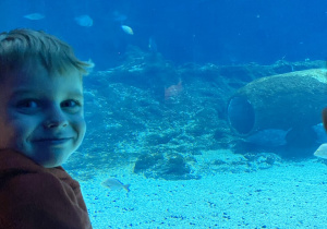 Zwiedzanie Orientarium